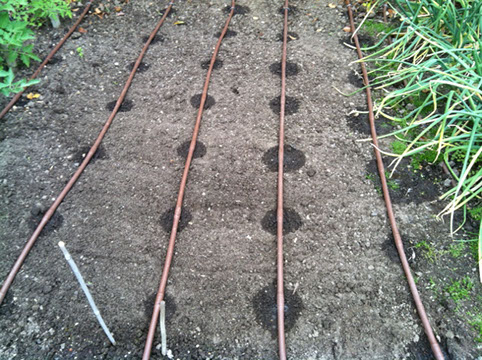 nawadnianie kropelkowe Inowrocław